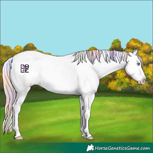 Horse Color:Nacre Gold Champagne Splash Appaloosa 