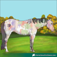 Horse Color:Nacre White Spotted Amber Champagne Dun 