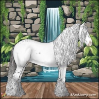 Horse Color:Liver Chestnut Frame