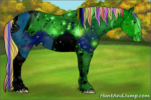 Horse Color:ERROR: UNKNOWN ANOMALY