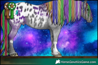 Horse Color:Painted Black Appaloosa 