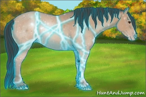 Horse Color:Thunderstruck Classic Champagne 