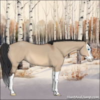 Horse Color:Bay Dun Splash 