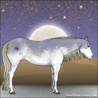 Horse Color:Watercolor White Spotted Chestnut Rabicano 