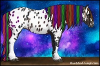 Horse Color:Painted Brown Appaloosa 