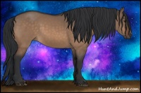Horse Color:Brown Dun 