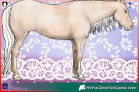 Horse Color:Silver Amber Champagne Pearl  and Silver Amber Champagne Roan Pearl 