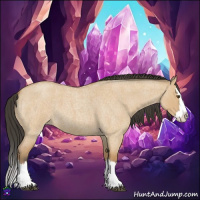 Horse Color:Bay Roan Dun Splash 