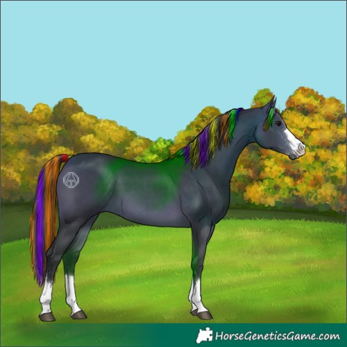 Horse Color:Platinum Painted Bay 