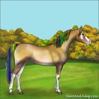 Horse Color:Painted Brown Pearl Onyx 