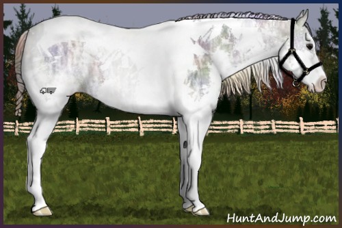 Horse Color:Nacre Grullo Ice Sabino Splash Tobiano 