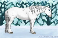 Horse Color:Black Frame 