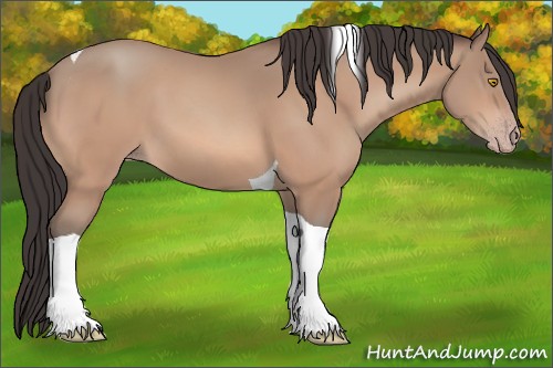 Horse Color:Amber Champagne Tobiano 