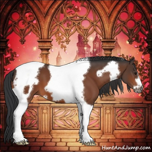 Horse Color:Bay Tobiano Frame 