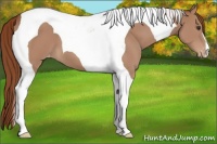 Horse Color:Chestnut Tobiano Varnish 
