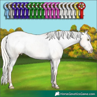 Horse Color:Silver Classic Champagne Dun Appaloosa