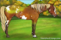 Horse Color:Painted White Spotted Silver Bay Frame Rabicano