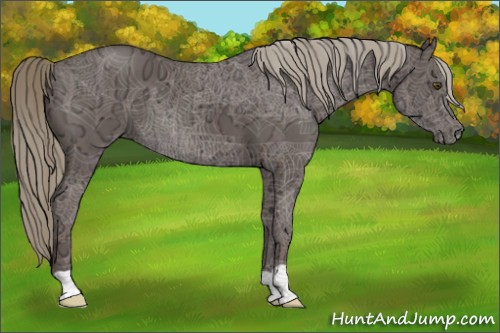Horse Color:Liver Chestnut Ice 