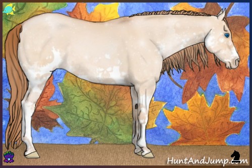 Horse Color:Bay Pearl Dun Splash