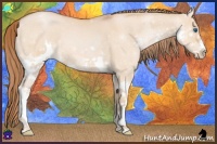 Horse Color:Bay Pearl Dun Splash 