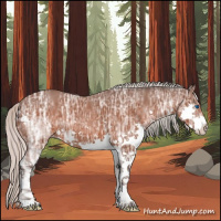Horse Color:Silver Brown Ice Roan Splash