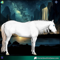 Horse Color:White Spotted Brown Ice Pearl Splash Varnish 