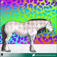 Horse Color:Plaid  Bay Ice Dun Splash 