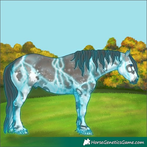 Horse Color:Thunderstruck Grullo Splash 