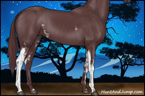 Horse Color:White Spotted Chocolate Black