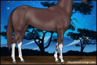 Horse Color:White Spotted Chocolate Black
