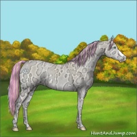 Horse Color:Painted Perlino Ice Onyx