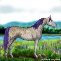Horse Color:Painted Buckskin Ice Onyx 