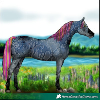 Horse Color:ERROR: UNKNOWN ANOMALY