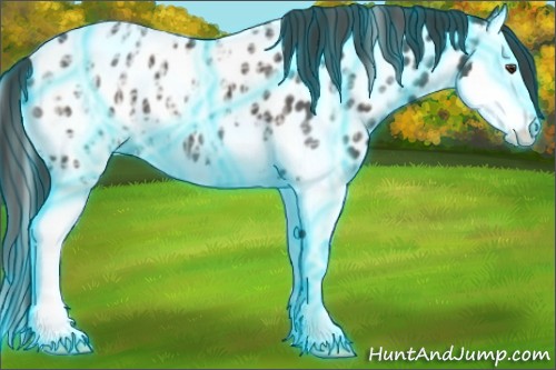 Horse Color:Thunderstruck Liver Chestnut Ice Sabino Splash Appaloosa 
