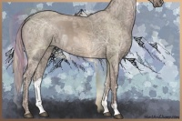 Horse Color:Silver Grullo Ice 