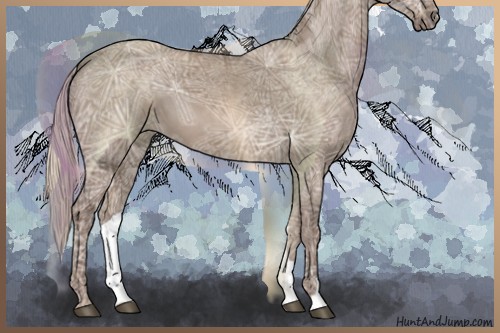 Horse Color:Silver Grullo Ice 