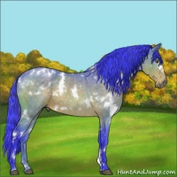 Horse Color:Watercolor White Spotted Buckskin 