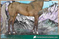 Horse Color:Silver Brown Ice Dun 