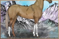Horse Color:Silver Brown Ice Dun 