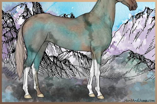 Horse Color:Silver Brown Ice Dun 