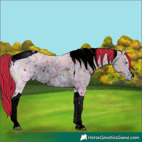 Horse Color:ERROR: UNKNOWN ANOMALY