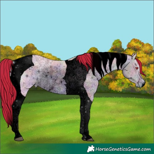 Horse Color:ERROR: UNKNOWN ANOMALY