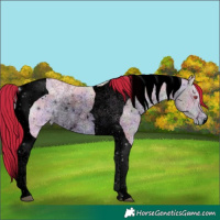 Horse Color:ERROR: UNKNOWN ANOMALY