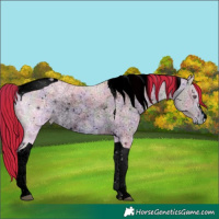 Horse Color:ERROR: UNKNOWN ANOMALY