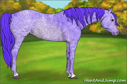 Horse Color:Watercolor Buckskin Ice Rabicano 