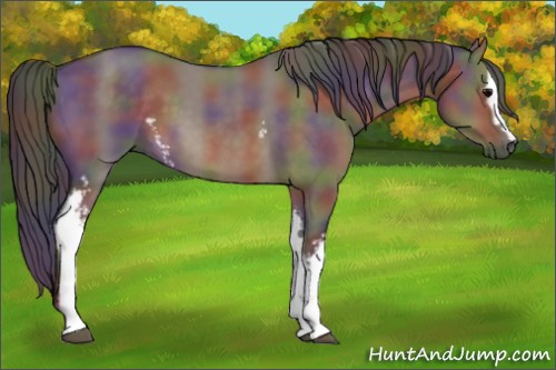 Horse Color:Nacre White Spotted Brown Dun 