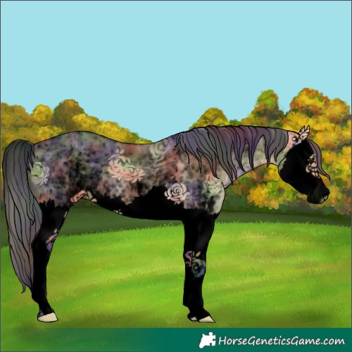 Horse Color:Void Nacre White Spotted Buckskin Dun Splash 