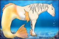 Horse Color:White Spotted Gold Cream Champagne Dun 