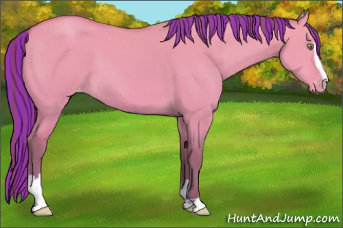 Horse Color:Platinum Painted Amber Champagne Dun Sabino Varnish