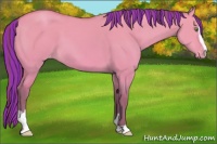 Horse Color:Platinum Painted Amber Champagne Dun Sabino Appaloosa